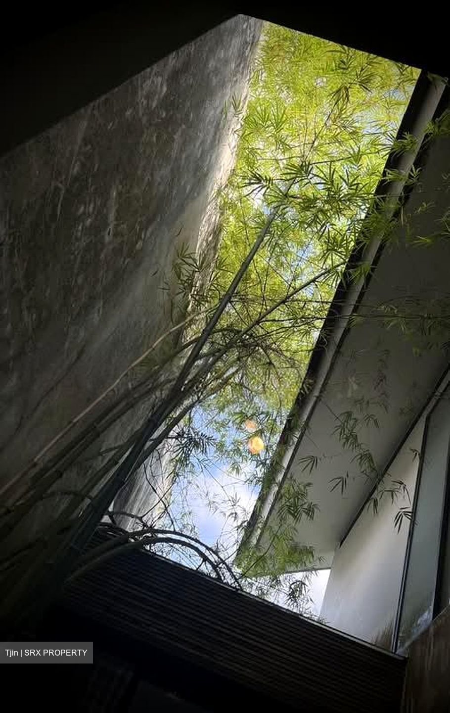 Arcadia Road (D11), Semi-Detached #528482041